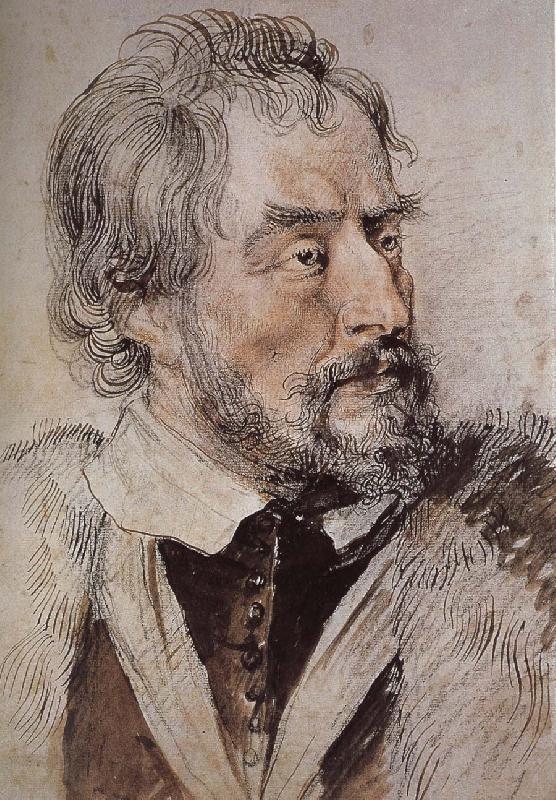 Peter Paul Rubens Portrait of thomas